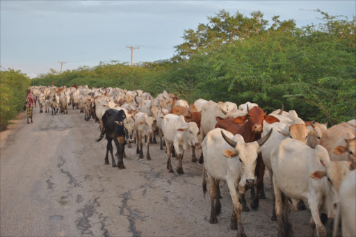 Image result for tana river vs kitui county pastoralists feud