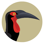 BirdPro Apk