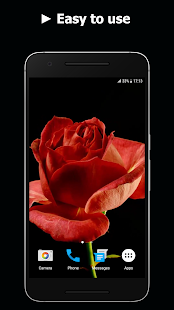 Blooming Roses Video Live Wallpaper(圖3)-速報App