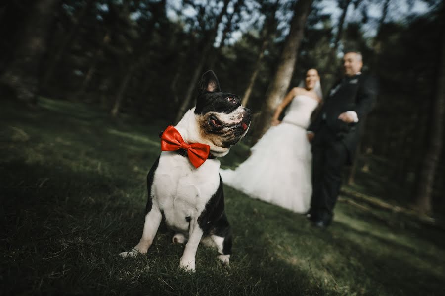 Fotógrafo de bodas Alex Alex Berasategi (alexberasategi). Foto del 5 de septiembre 2018