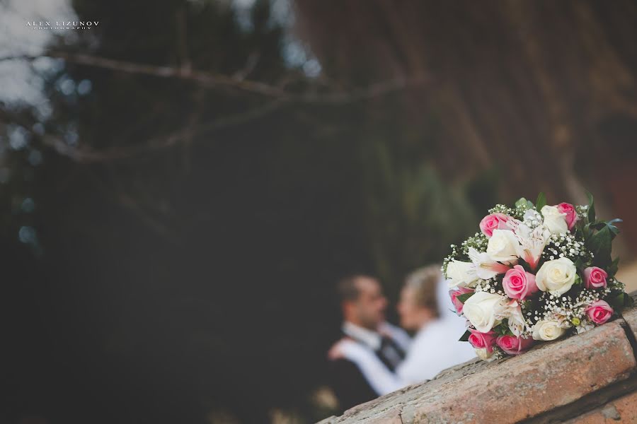 Wedding photographer Aleksandr Lizunov (lizunovalex). Photo of 22 December 2013