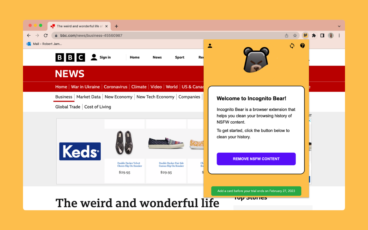 Incognito Bear: Remove NSFW websites Preview image 3