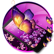 Scintillating Butterfly Theme  Icon