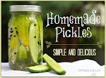 Homemade Refrigerator Dill Pickles was pinched from <a href="http://www.diynatural.com/how-to-pickle-cucumbers/" target="_blank">www.diynatural.com.</a>