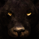 Download Ultimate Panther Simulator For PC Windows and Mac