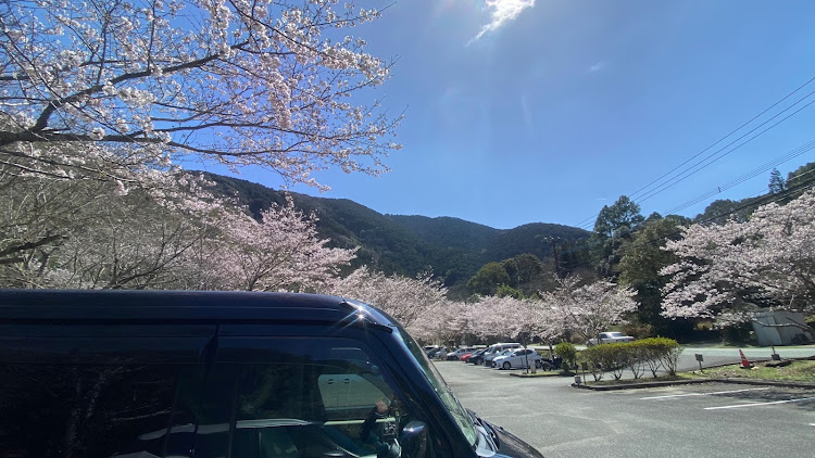 エブリイワゴンのちょいアゲ・リフトアップ・プチオフ会・サクラと愛車・桜に関するカスタム事例の投稿画像2枚目