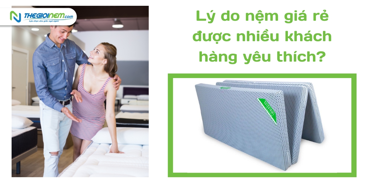 Đại lý nệm giá rẻ Long Thành - Đồng Nai uy tín | Thegioinem.com