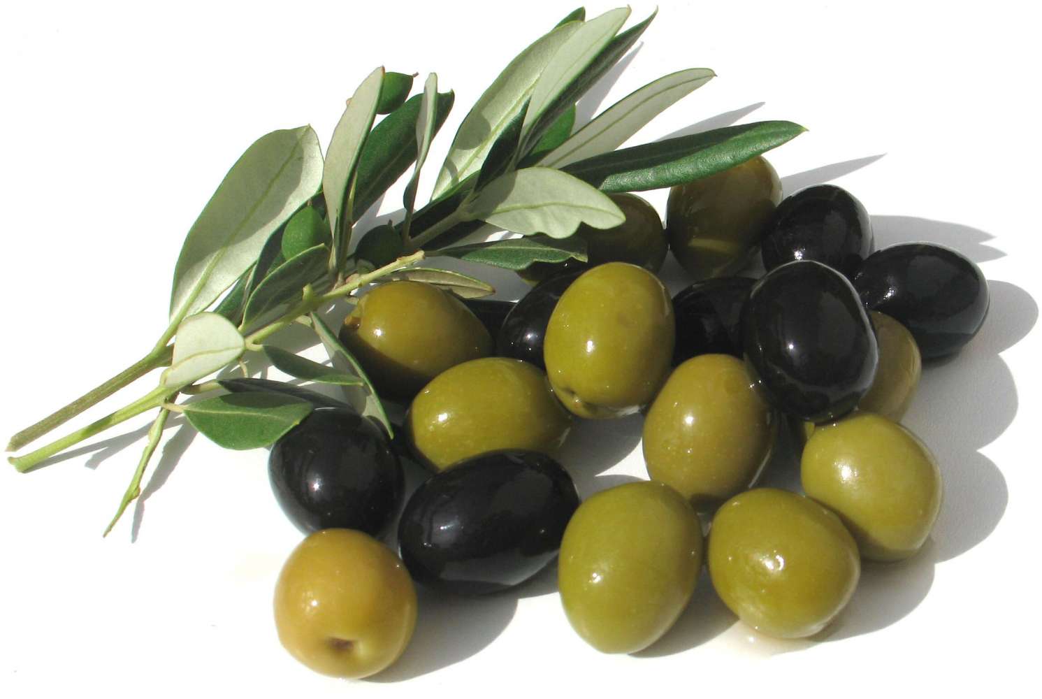 olive01