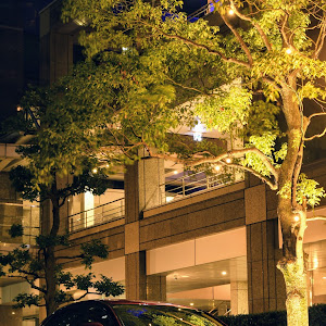 CX-30 DM8P