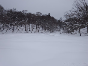 冬の長池