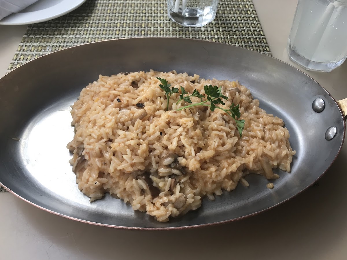 The gluten free mushroom risotto. It was really good!