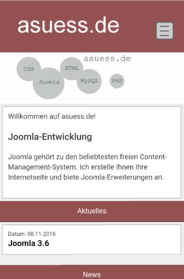 asuess.de - Internetagentur Screen 3