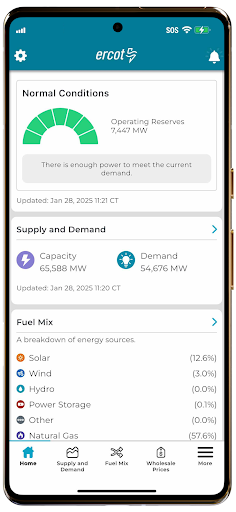 Screenshot ERCOT