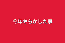 今年やらかした事