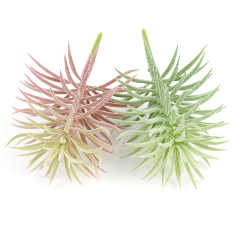 Mini pots de fleurs en plastique pour succulentes DIY, accessoires d'arrangement floral, parfaits pour la décoration créative et facile à utiliser