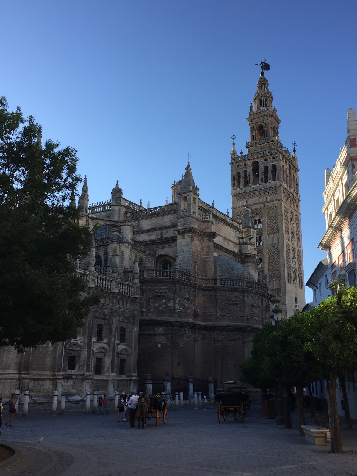 seville cathedral