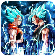 Dragon DBS Goku Vegeta wallpaper  Icon