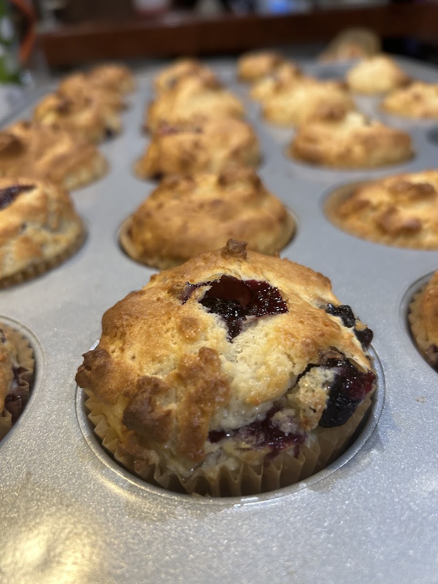 Gluten Free Lemon Blueberry Muffins