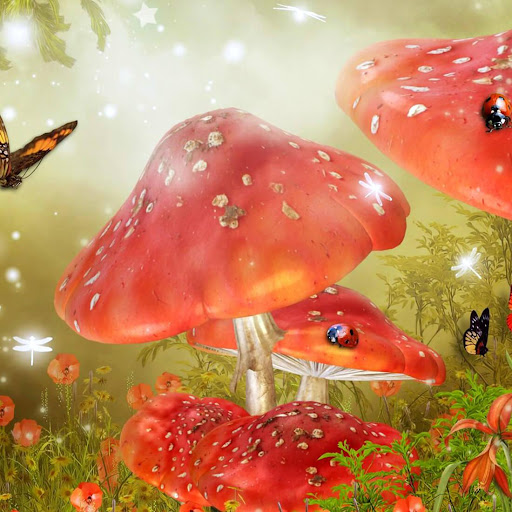 Mushrooms Live Wallpaper