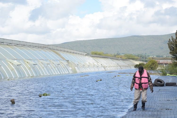 A boat operator next to a flooded greenhouse near Lake Naivasha