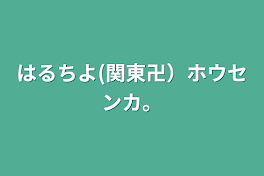 はるちよ(関東卍）ホウセンカ。