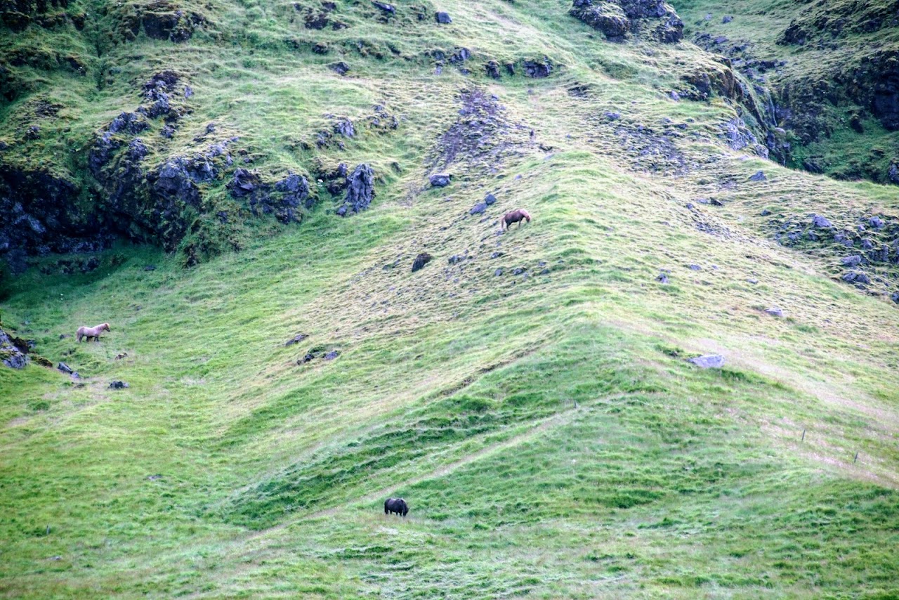 Исландия - родина слонов (архипелаг Vestmannaeyjar, юг, север, запад и Центр Пустоты)