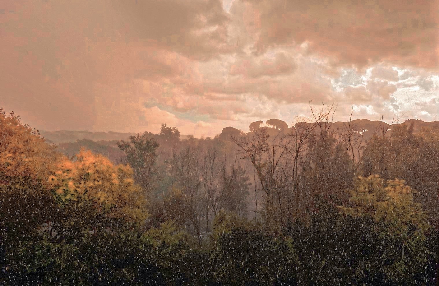 RAIN IN AUTUMN. di matteo_maurizio_mauro