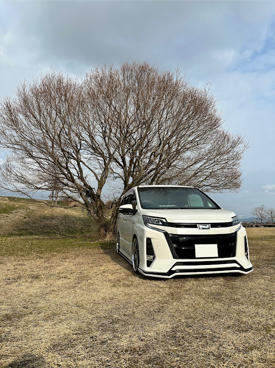 ノアのいつもの場所・グノーシスCVS・夏仕様・琵琶湖に関するカスタム事例の投稿画像2枚目