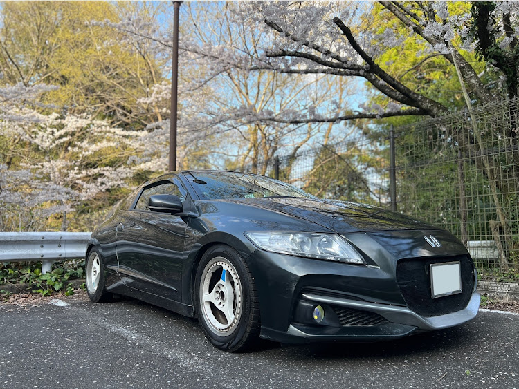 CR-Zのサクラと愛車に関するカスタム事例の投稿画像1枚目