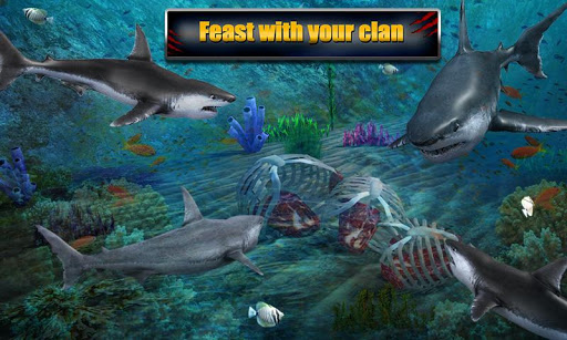 Screenshot Angry Shark Adventures 3D