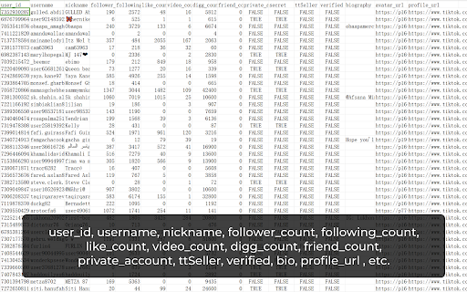 TikTok Follower Export Tool Preview 4
