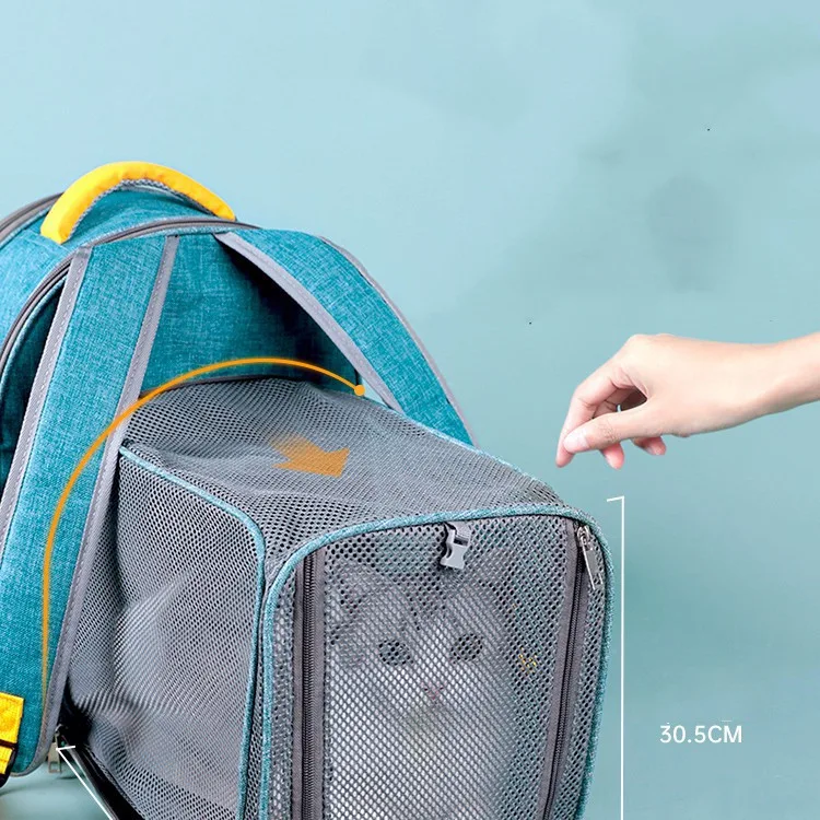 Opvouwbare transparante mesh-venster huisdierrugzak met interne veiligheidsriem voor comfortabel en veilig dragen van je huisdier.