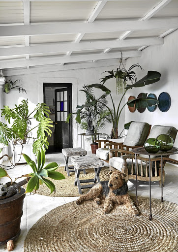 Wall art on the verandah comes in the form of repurposed water drip trays from terracotta pots mounted as a linear display of colourful circles