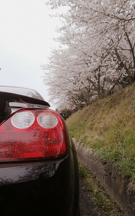 MR-SのMR-S・桜に関するカスタム事例の投稿画像3枚目