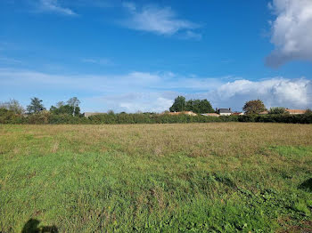 terrain à Petosse (85)