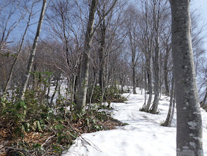 雪は少なく