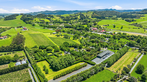 Agricultural estate with vineyards and green hills - Buy this luxury apartment / penthouse in Matakana