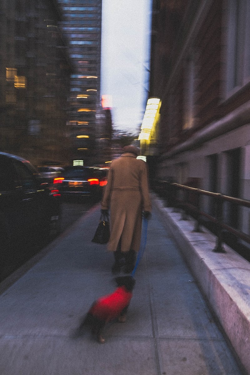 shades of N.Y di francesca bolla