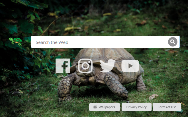 Save Turtle Tab Preview image 0