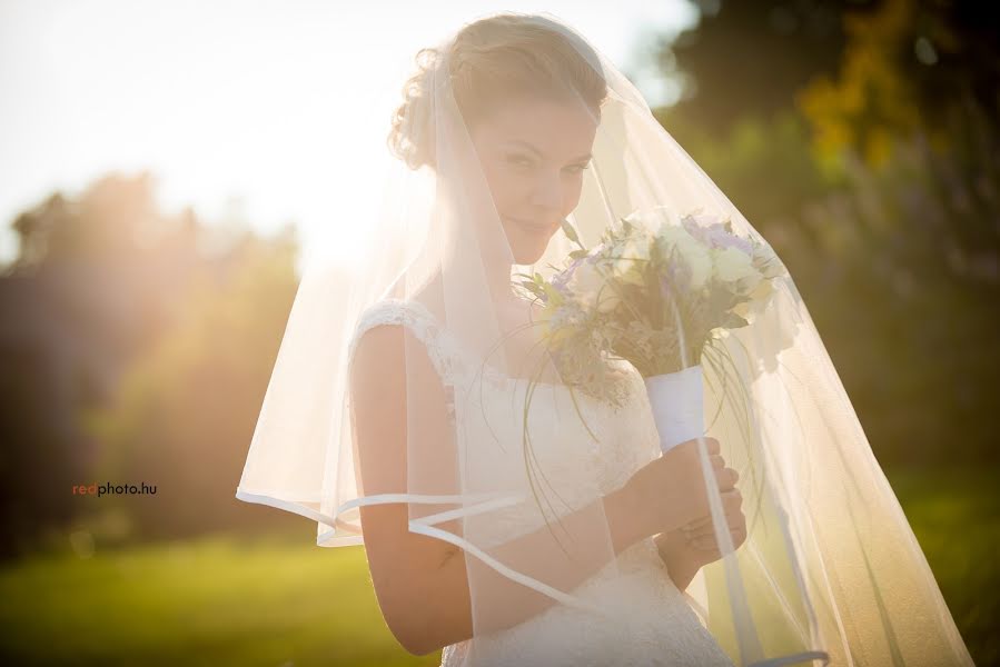 Fotografo di matrimoni Ákos Vörös (redphoto). Foto del 27 gennaio 2016