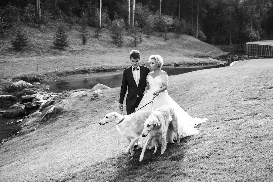 Fotógrafo de casamento Andrey Nesterov (nestand). Foto de 21 de outubro 2015