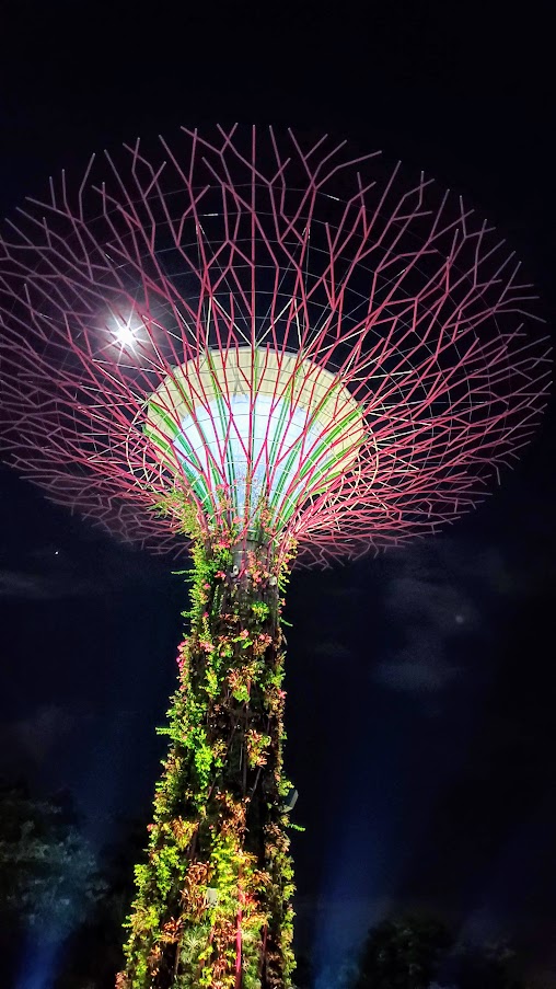 Guide to visiting Gardens by the Bay in Singapore: Supertree Grove in the evening