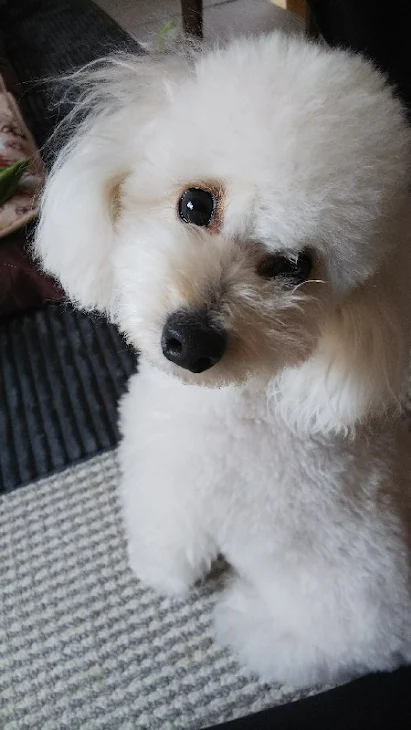 「彼氏からのプレゼント」のメインビジュアル