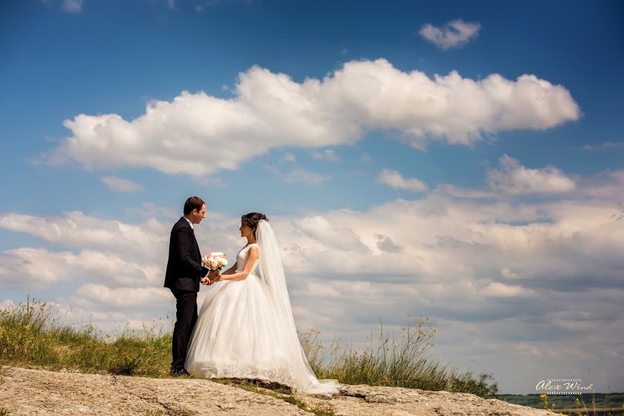 Wedding photographer Aleksandr Kuznecov (wind). Photo of 30 May 2018