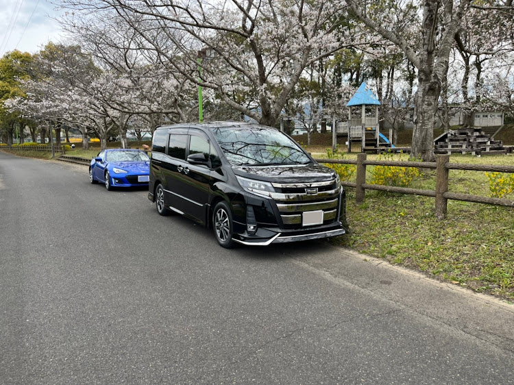 ノアのフォグランプ変えたい・イジりたいけどお金がないんだ・ノア乗りさんと繋がりたいです・桜とコラボ・桜が散る前にに関するカスタム事例の投稿画像1枚目