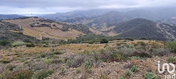 terrain à Banyuls-sur-Mer (66)