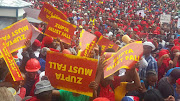 Protesters holding signs and placards  at the National Shut Down March Picture: Genevieve Quintal