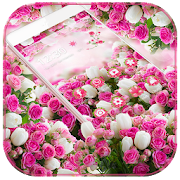 Pink Rose Blossom Theme  Icon