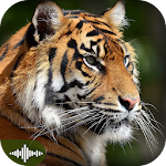 Cover Image of Descargar Animals for Toddlers - Puzzles, Flashcards, Sounds 1.0.0 APK