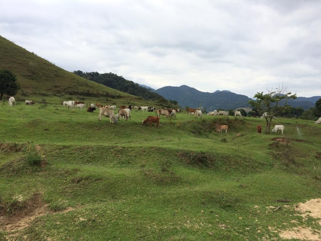 Fazenda com 2 dormitórios à venda, 1500400 m² por R$ 3.900.000,00 - Reginópolis - Silva Jardim/RJ